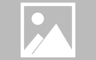 临猗网页设计英文默认字体（网页设置英文转换中文）
